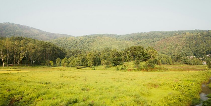 A breathtaking view of a lush green grassland with a stream of water flowing in between.