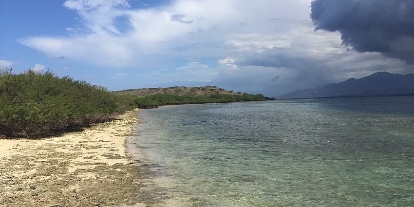 A picture of a beach in Bali nearby a famous jungle safari route