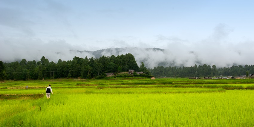 Snapshot of the Ziro hill covered in fog and lush paddy field–Best places to visit in Ziro