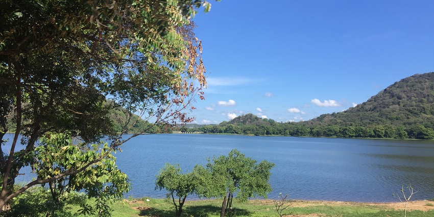 Minneriya National Park is popular for its large elephant herds and animal sightings.