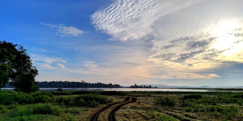 A scenic view of Minneriya National Park in Sri Lanka, showcasing lush greenery.