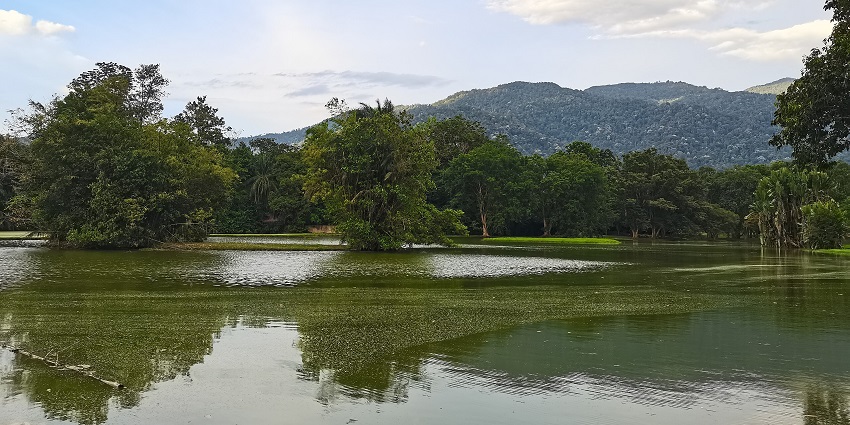 Image of a serene Lake Garden scene with calm waters, trees, and landscaped pathways.