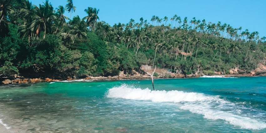 Mirissa, famous for its beautiful views and cheerful ambiance, is ideal for swimming.