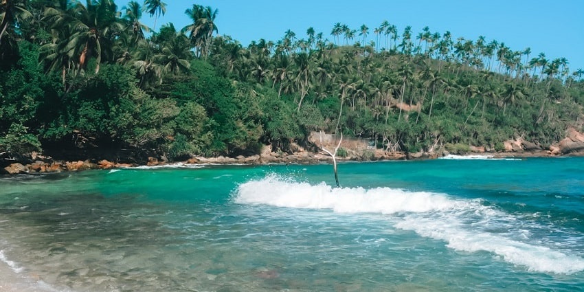 Mirissa is a good spot in Sri Lanka where you can enjoy a romantic sunset cruise