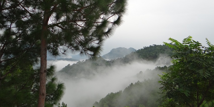 Camping grounds of this hill station offer many thrilling activities for your next adventure