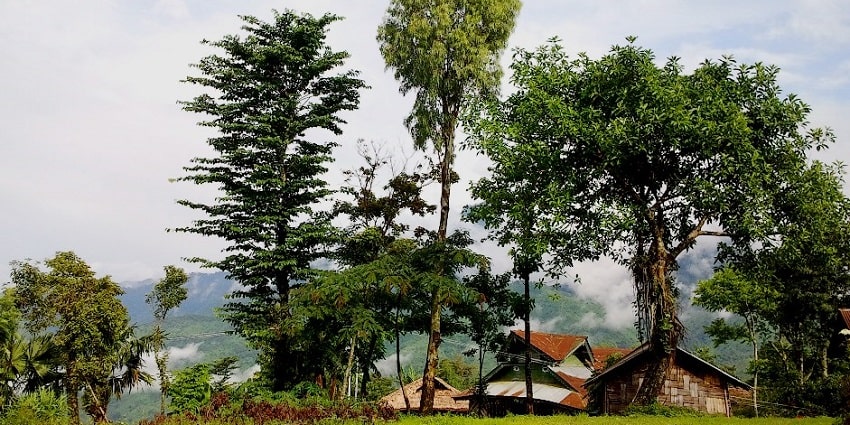 Mon, a tribal village, gives you a glance at the life of tribal locals of the region.