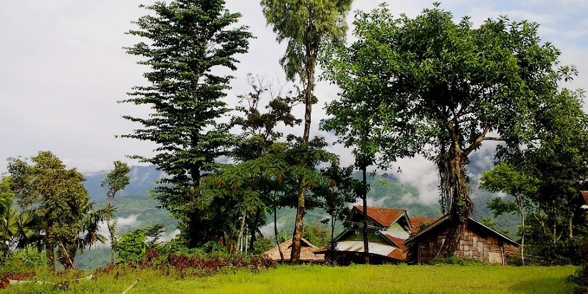 A town with scenic views and greenery, located near the Hornbill music festival site