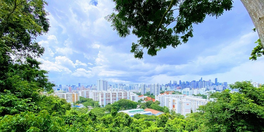 Mount Faber Park is one of the most lush green and stunning trekking Singapore places.