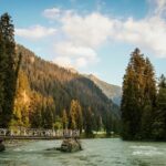 Vibrant nature scene with green foliage and a bright blue sky - Carignano Nature Park.