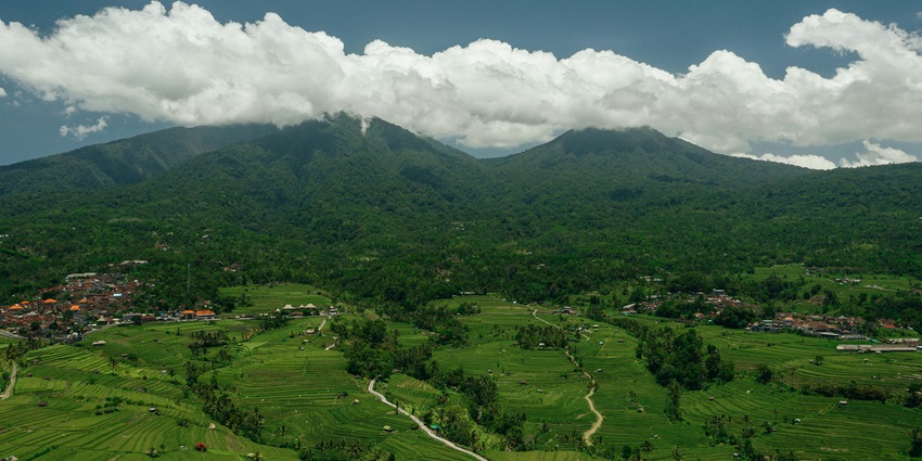 Aerial view of the beautiful green mountain covered in the lush desne forest and vegetation
