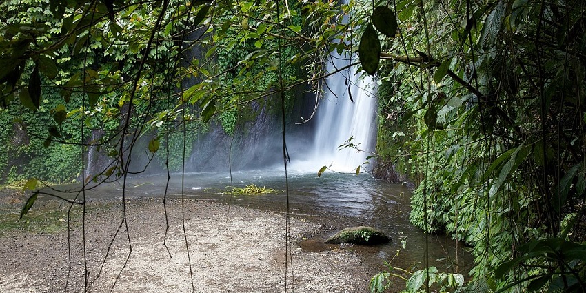 A picture of a waterfall in Bali taken during a jungle safari expedition