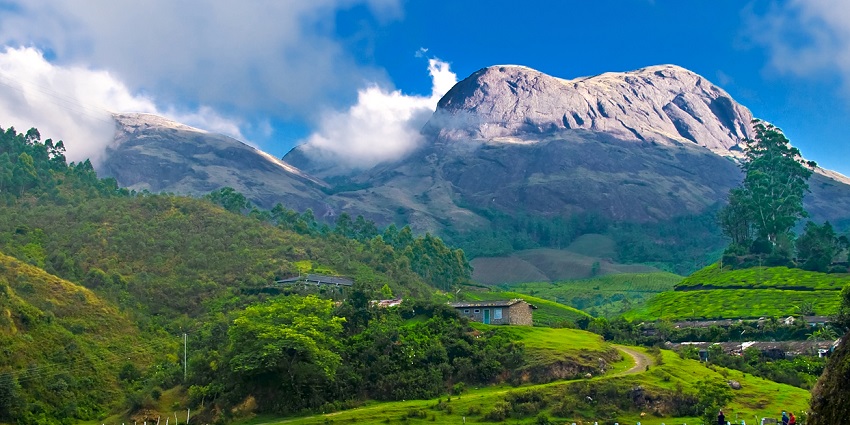 Scenic snapshot of the hills of Munnar, covered in the lush green vegetation and Clouds