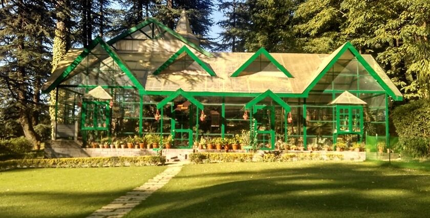 A picture of a museum surrounded by trees