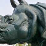 An image with the face of a rhino that is used for representation of the name of the museum.