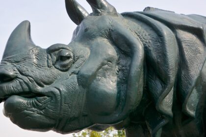 An image with the face of a rhino that is used for representation of the name of the museum.