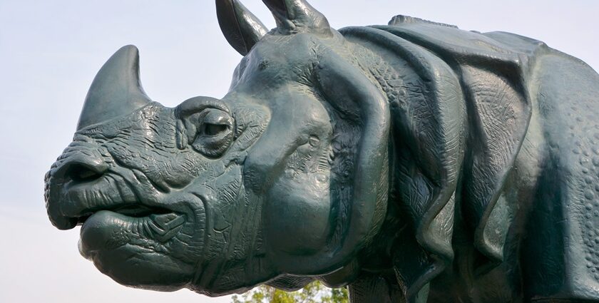 An image with the face of a rhino that is used for representation of the name of the museum.