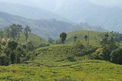 Dive into rich history at the most popular Darjeeling Museums on your next vacation