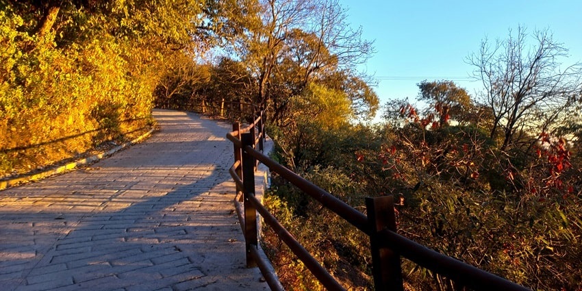 A breathtaking vista of a route surrounded by lush vegetation and views in Mussoorie.