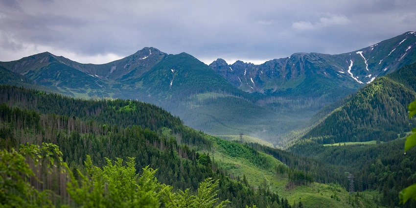 The panoramic snapshot of the scenic hills covered in the lush green dense forest