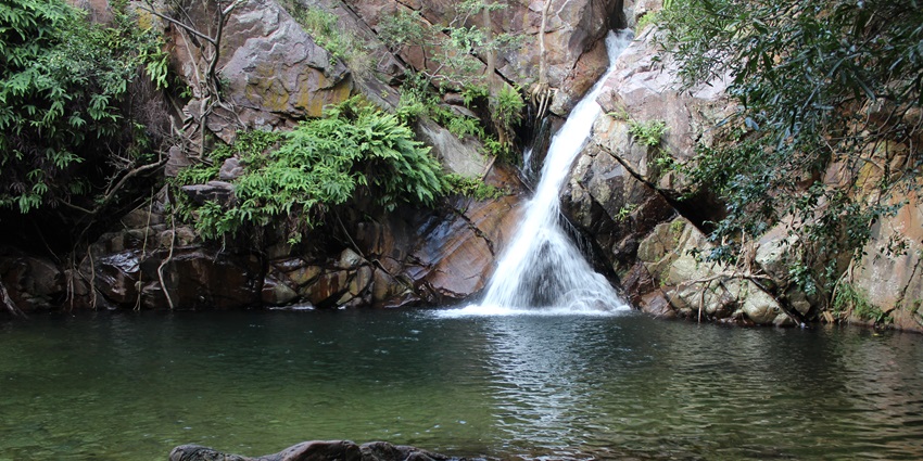 Nagalapuram Falls is a perfect place to enjoy natural beauty and trekking activity.