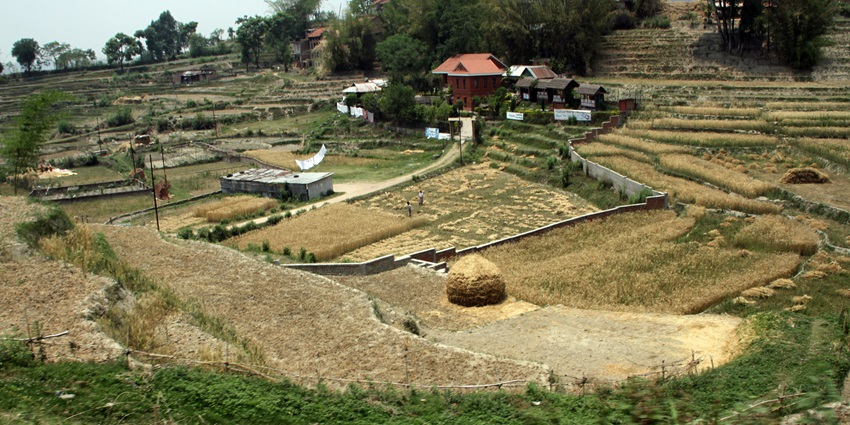 A picture of a lush green field in Nagarkot, Nepal, taken from an altitude