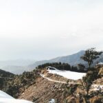 A mesmerising view of a snow-covered town with lush green trees during the daytime.