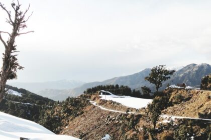 A mesmerising view of a snow-covered town with lush green trees during the daytime.