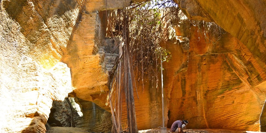 A picture of a limestone cave in Diu with sunlight creating golden hues