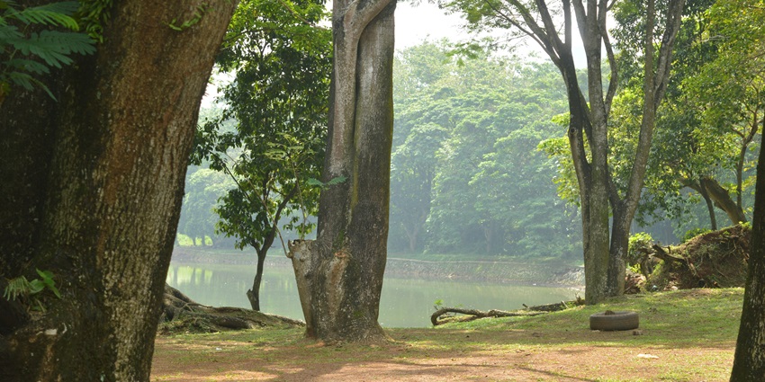 A view of the Nakachikong Hohowa Picnic Spot featuring manicured gardens and trees.