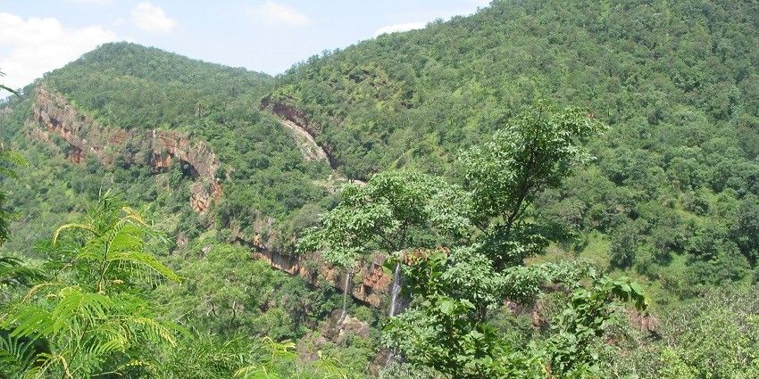 Nallamala Forest is one of the famous places among nature enthusiasts and wanderers.