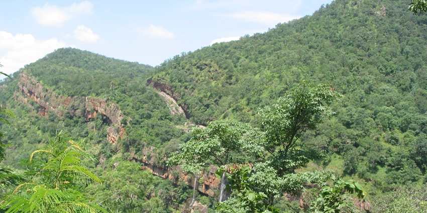 A glimpse of the Nallamala Forests, a natural splendour nestled in Andhra Pradesh.
