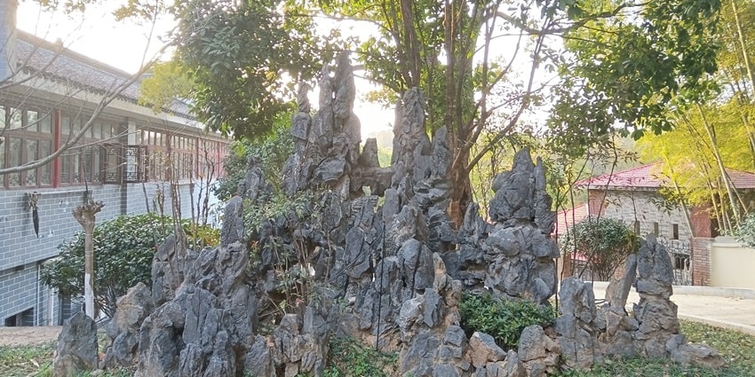 An image of a small rock art made in front of a tree, clicked during day time