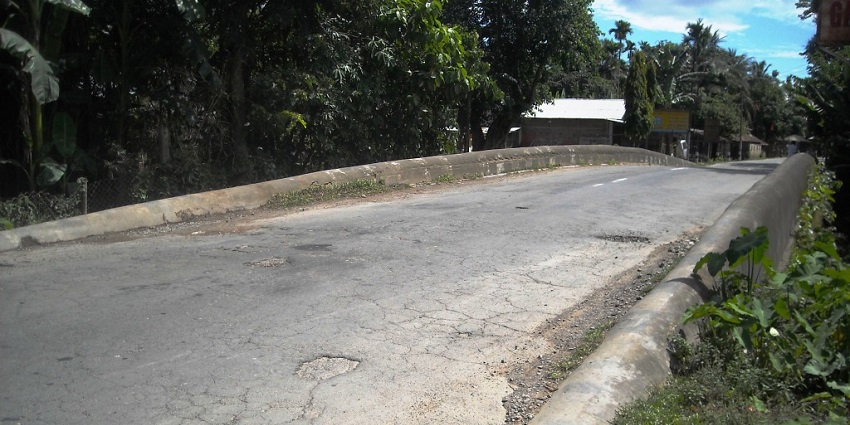 Namdang Stone Bridge in Assam, a historic arched structure over a narrow river channel.