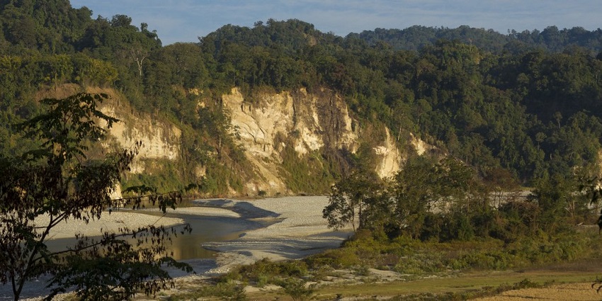 A visit to Namdapha National Park lets you take a glimpse of some endangered species.