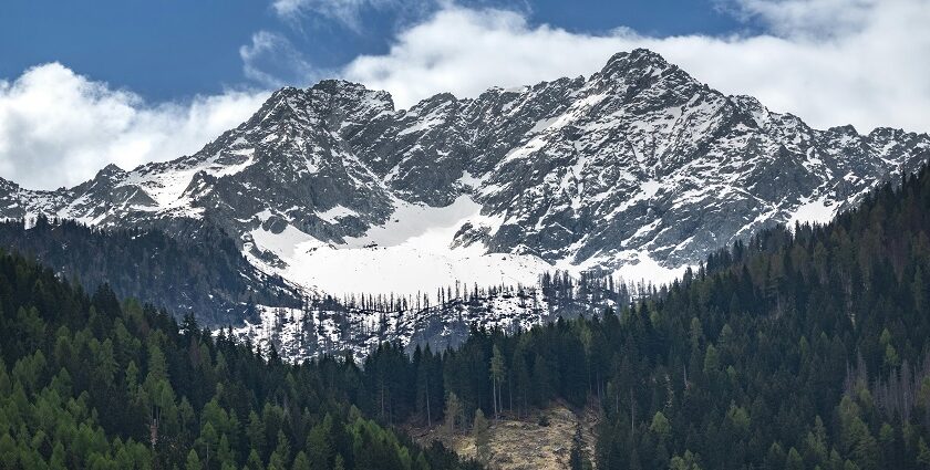 View of the snow-laden mountains of the great Himalayas from Namdapha National Park