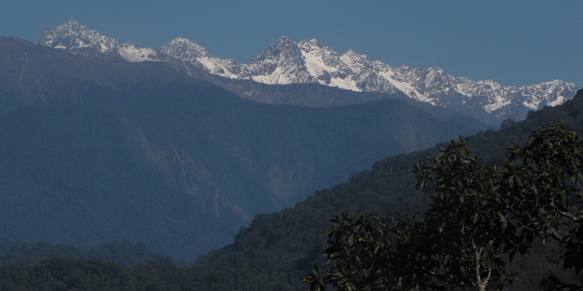 Forest snow in Namdapha with snow-covered trees, pristine white landscapes, and a serene.