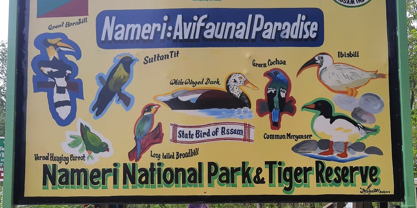 This park, with a sign board depicting Avian display, is among the best national parks in Assam.