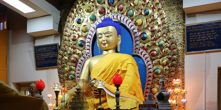 A tall gold Buddha statue in a sitting posture inside Namgyal Monastery in Dharamshala.