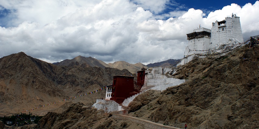 A breathtaking view of Namgyal Monastery surrounded by lush greenery during the day.