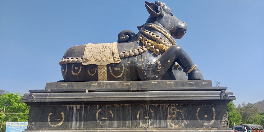 An image of the grand Nandi Statue located in the scared temple of Mahanandi in Kurnool.