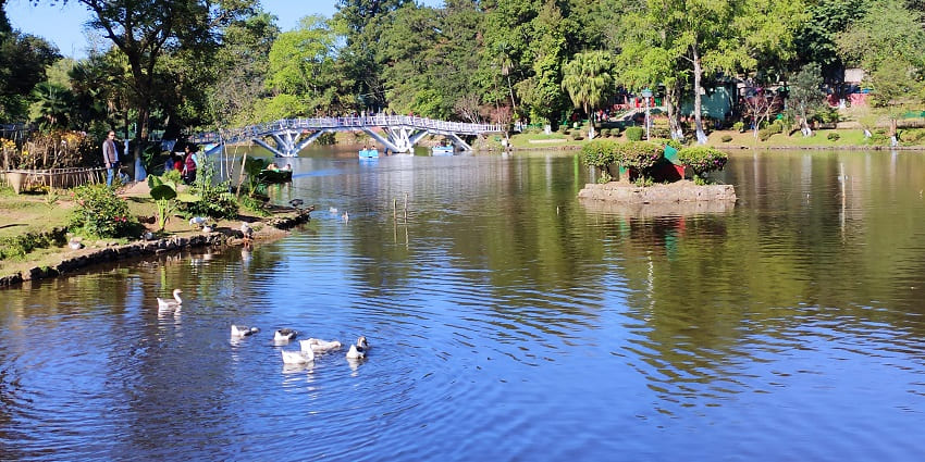 A picture of a lake near the Siju Caves Meghalaya with boats sailing and tall trees in the background