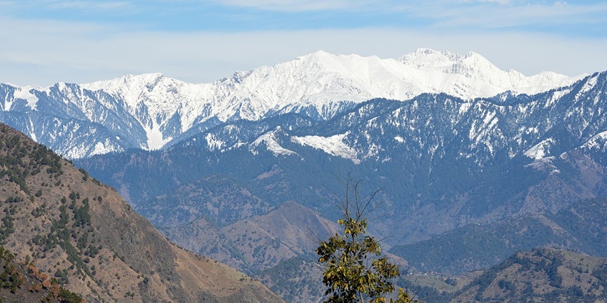 Witness a diverse range of wildlife and plants at the popular Nargu Wildlife Sanctuary.