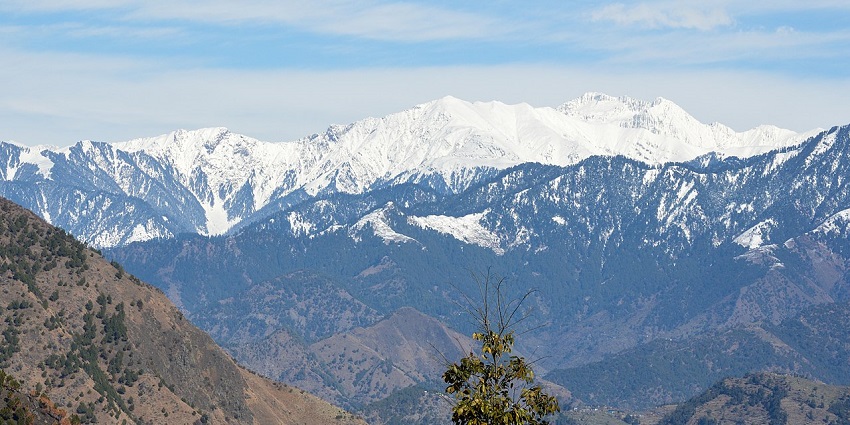 Nargu wildlife sanctuary, with bears and regional goats, is one of the best places to visit in Barot Valley.