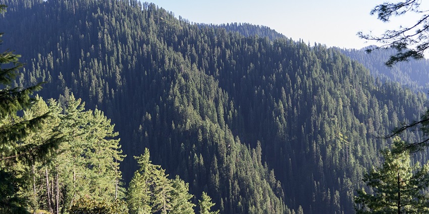 One of the places to visit in Himachal in November is Narkanda, a town near Shimla, popular for skiing.