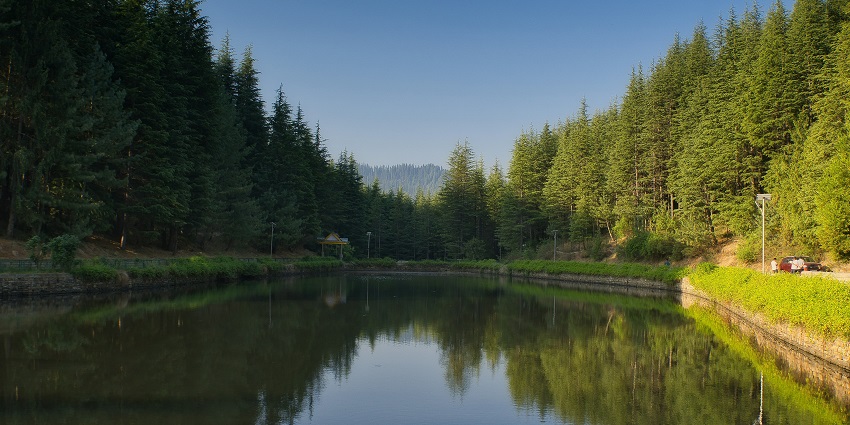A scenic view of a tranquil lake surrounded by lush green dense forests in Narkanda.
