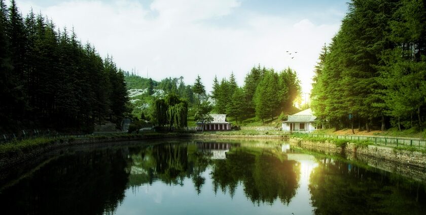 A breathtaking view of a pristine waterbody surrounded by lush green trees during the day.