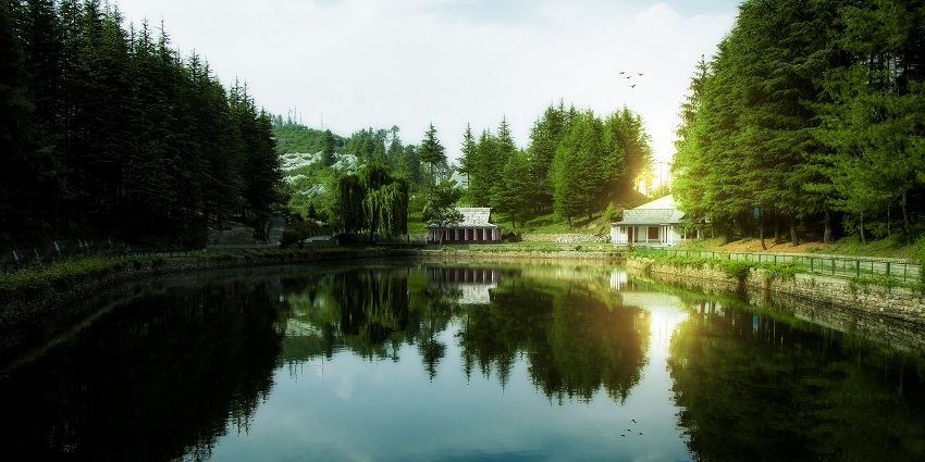 A breathtaking view of a sparkling water body with lush green trees around during the day.