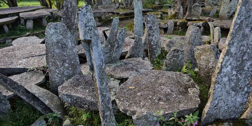 A picture of tall stones standing in a jungle with trees and greenery located near the Mawjymbuin Caves in Meghalaya