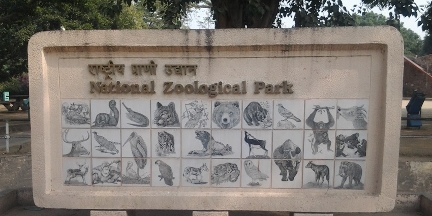Delhi Zoo landscape with open green lawns, fenced enclosures, and walking paths.
