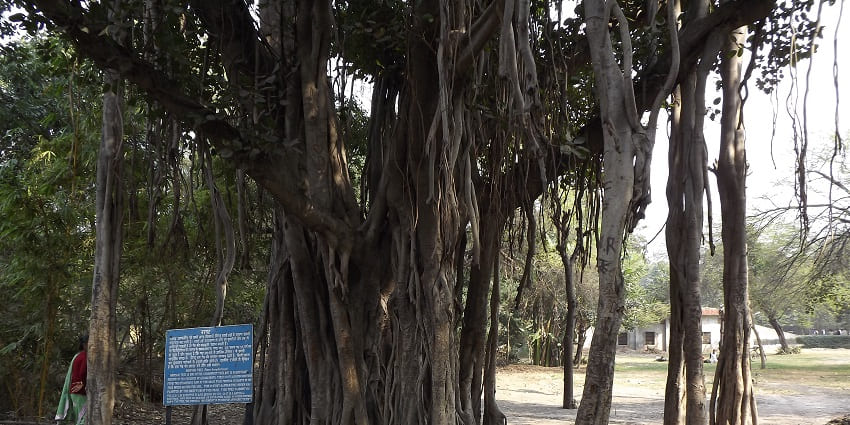 National Zoological Park houses rare species of animals and birds on the premises.